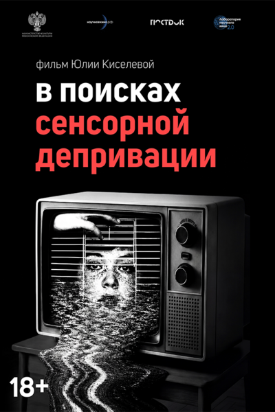 Постер: В поисках сенсорной депривации (2026)