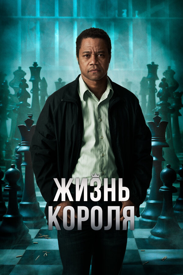Постер: Жизнь короля (2013)