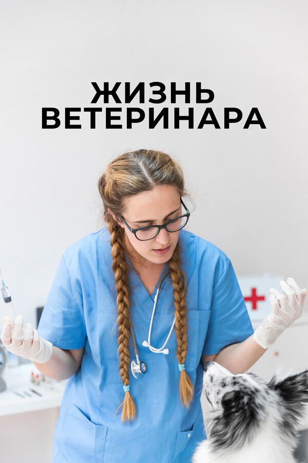 Постер: Жизнь ветеринара (2024)