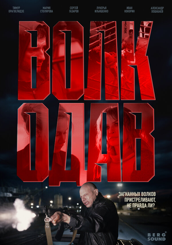 Постер: Волкодав (2025)