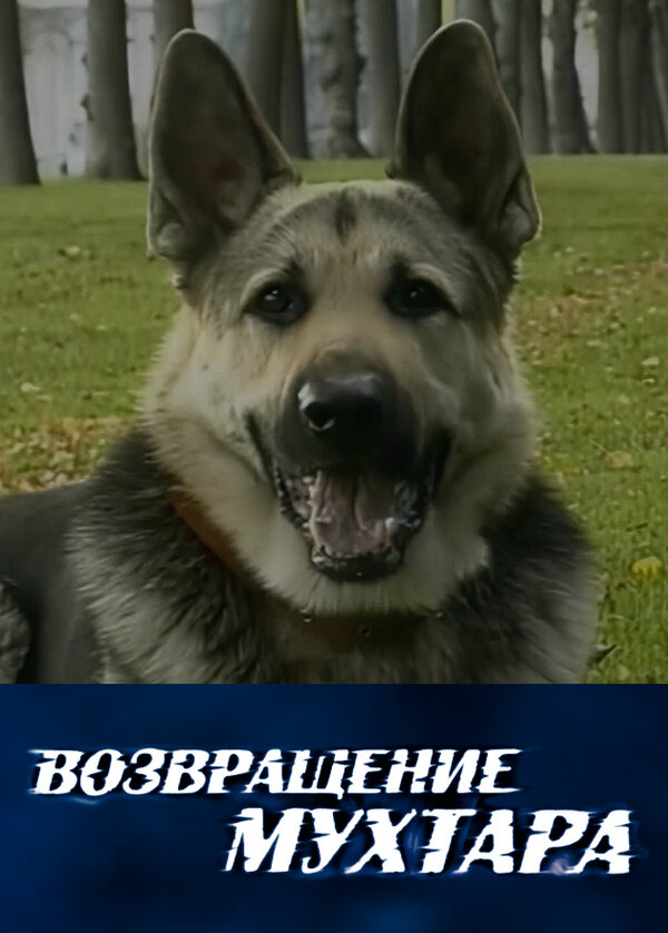 Постер: Возвращение Мухтара (2003)