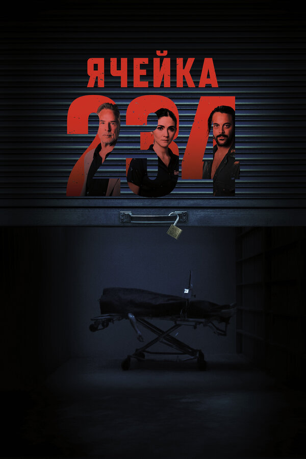 Постер: Ячейка 234 (2023)
