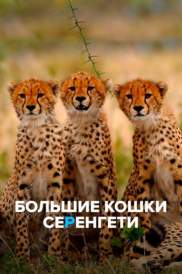 Постер: Большие кошки Серенгети (2019)