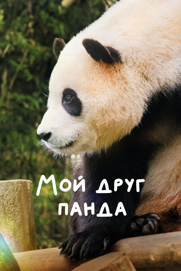 Постер: Мой друг панда (2024)
