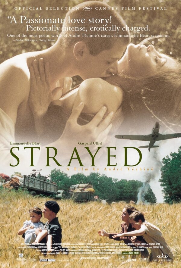 Постер: Заблудившиеся (2003)