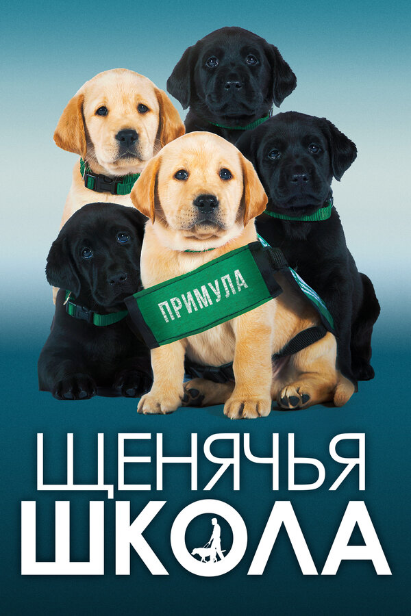 Постер: Щенячья школа (2018)