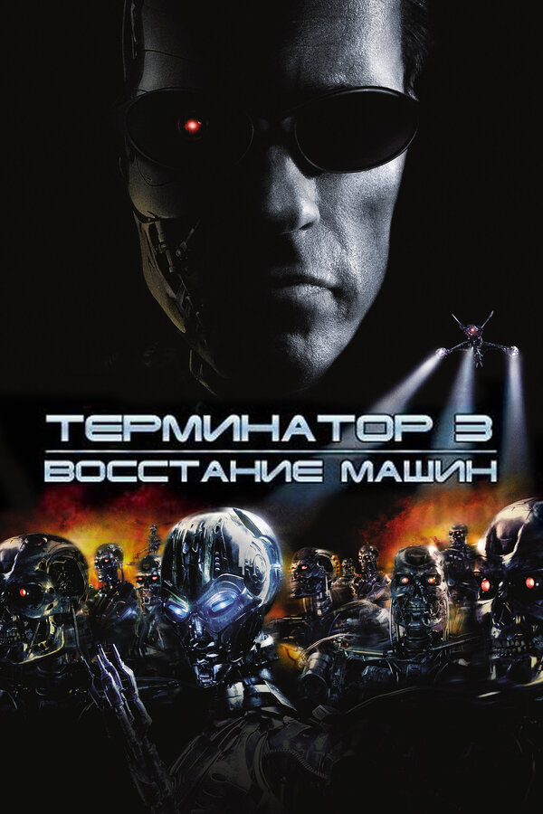 Постер: Терминатор 3: Восстание машин (2003)