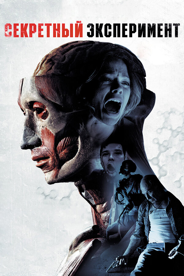 Постер: Секретный эксперимент (2012)