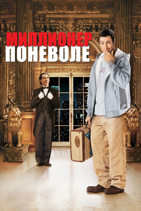 Постер: Миллионер поневоле (2002)