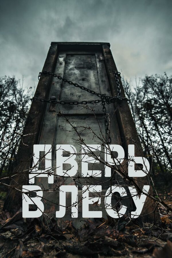Постер: Дверь в лесу (2019)
