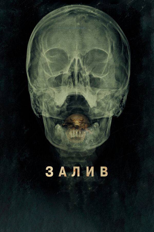 Постер: Залив (2012)