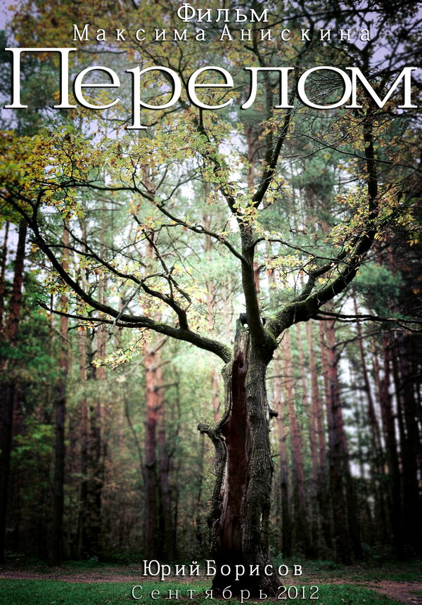Постер: Перелом (2012)