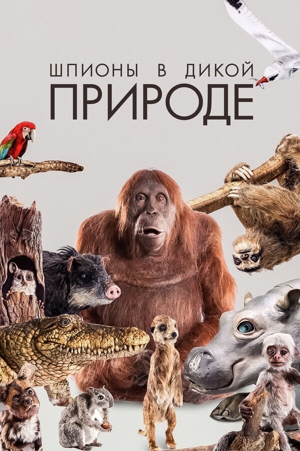Постер: Шпионы в дикой природе (2017)