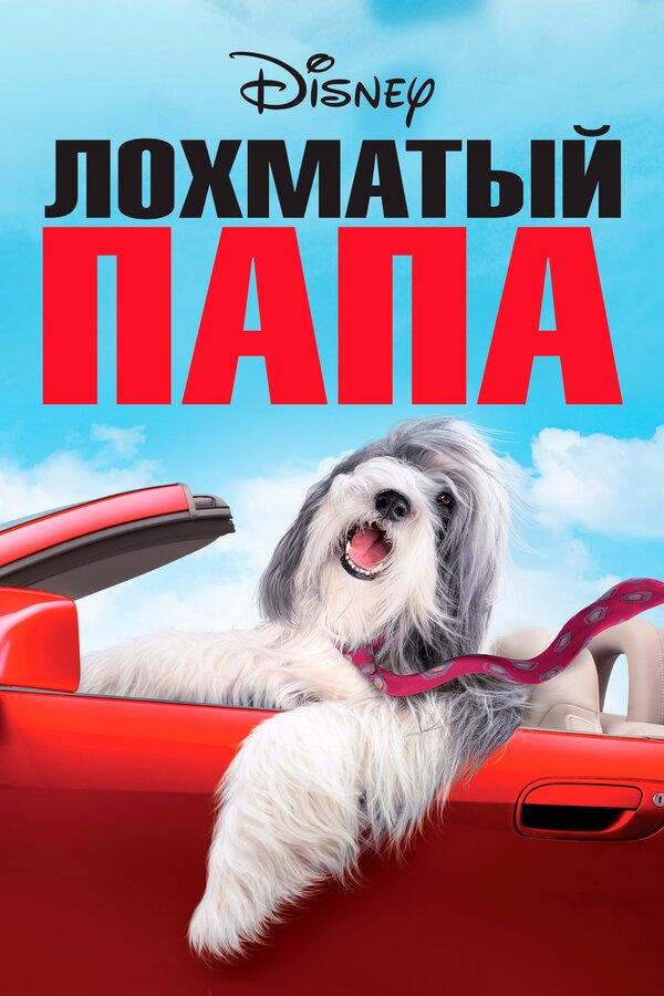 Постер: Лохматый папа (2006)