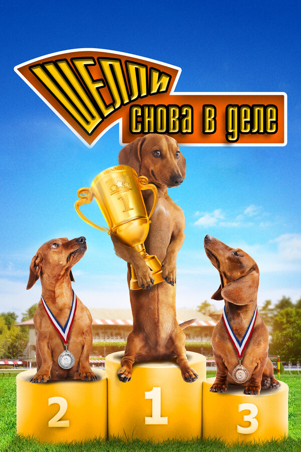 Постер: Шелли снова в деле: Часть 1 (2013)