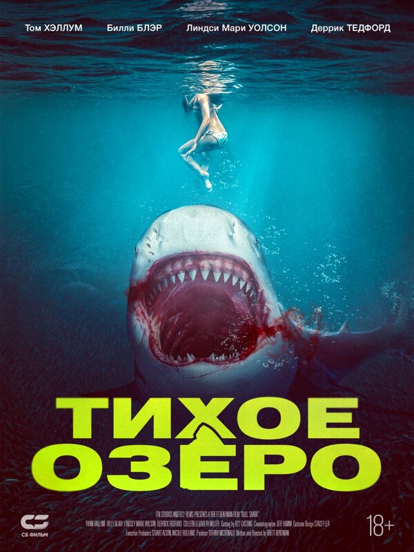 Постер: Тихое озеро (2022)
