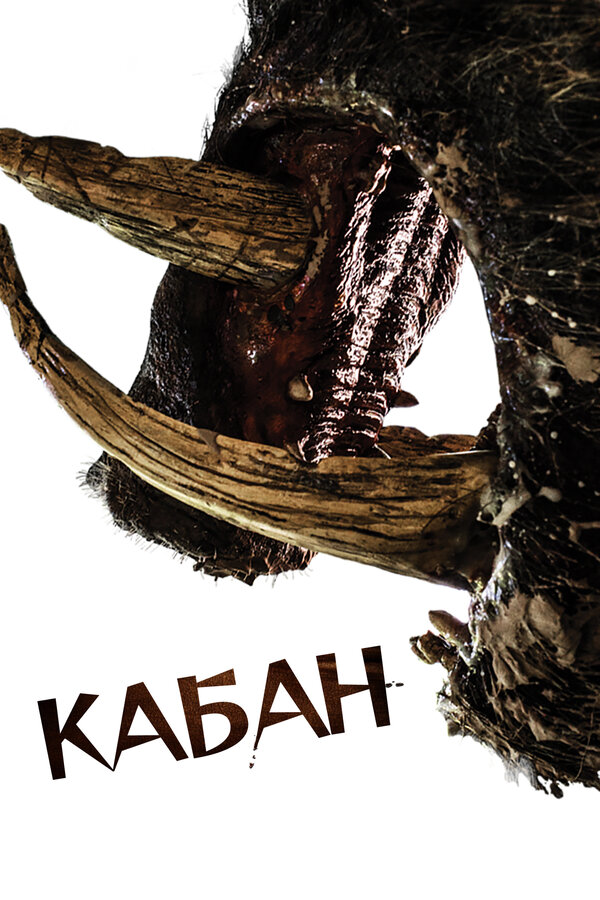 Постер: Кабан (2017)