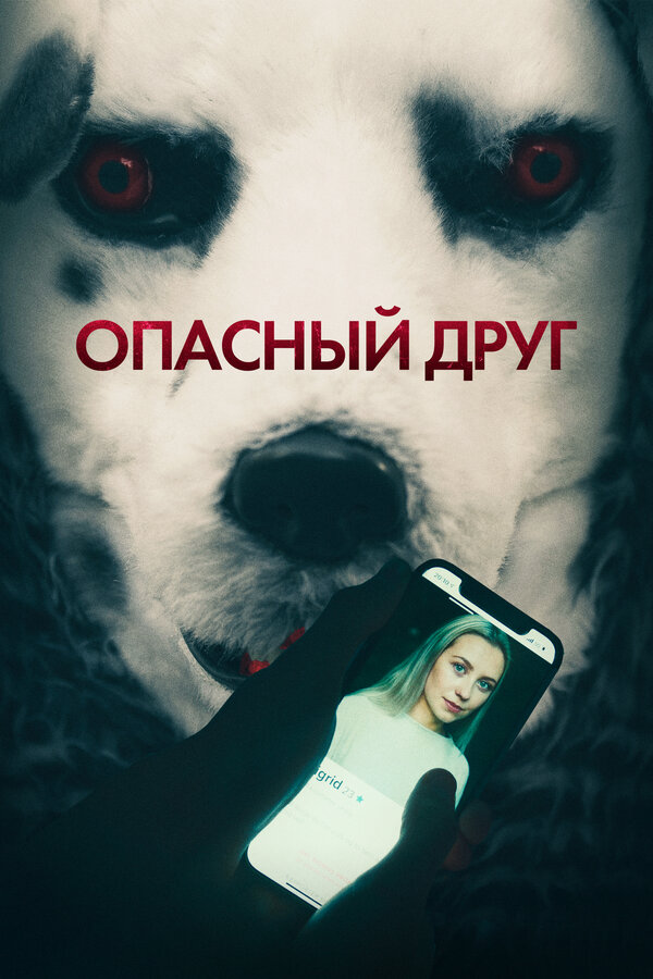 Постер: Опасный друг (2022)