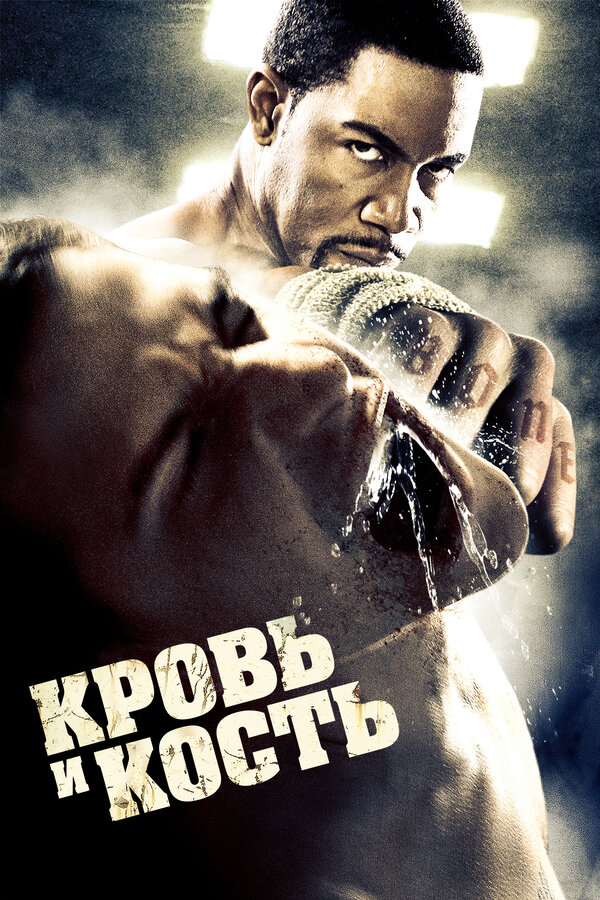 Постер: Кровь и кость (2009)