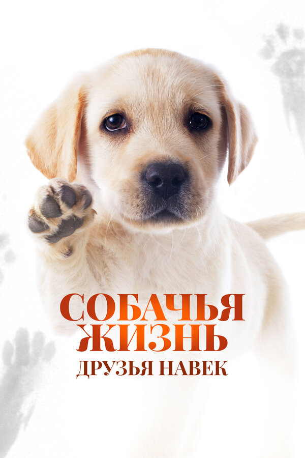 Постер: Собачья жизнь: Друзья навек (2023)