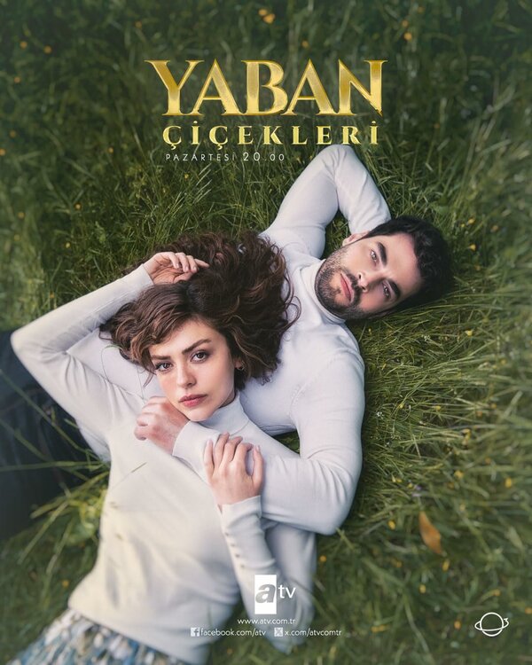 Постер: Дикие цветы (2024)
