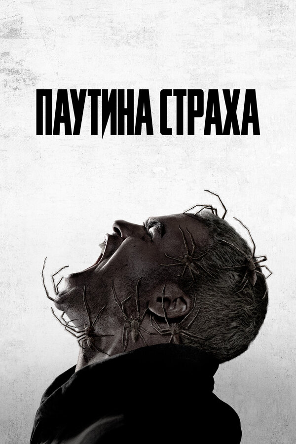 Постер: Паутина страха (2023)