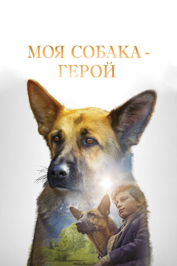 Постер: Моя собака — герой (2018)