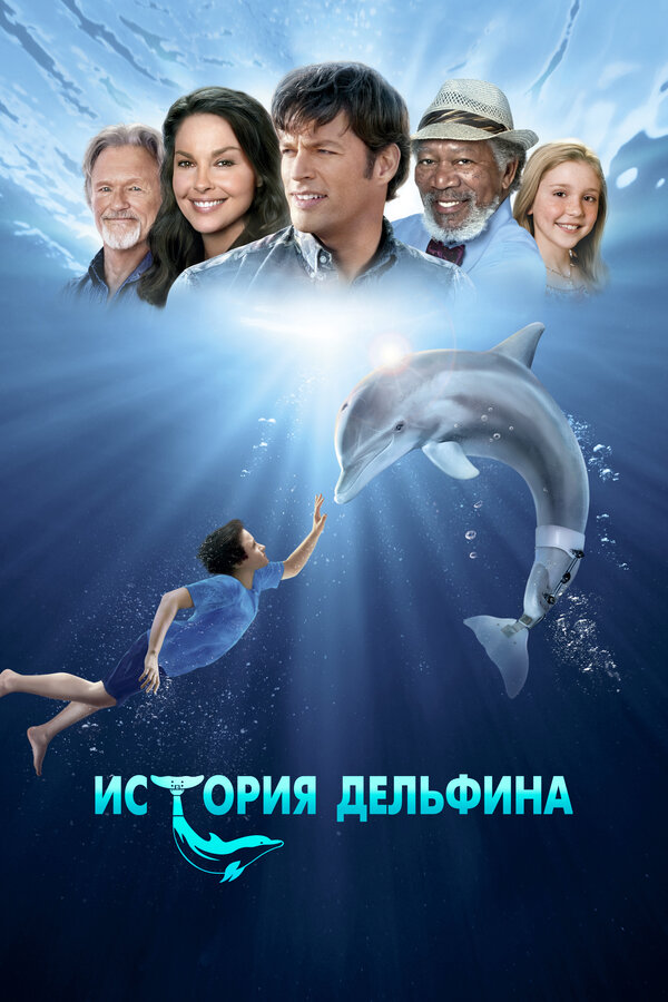 Постер: История дельфина (2011)