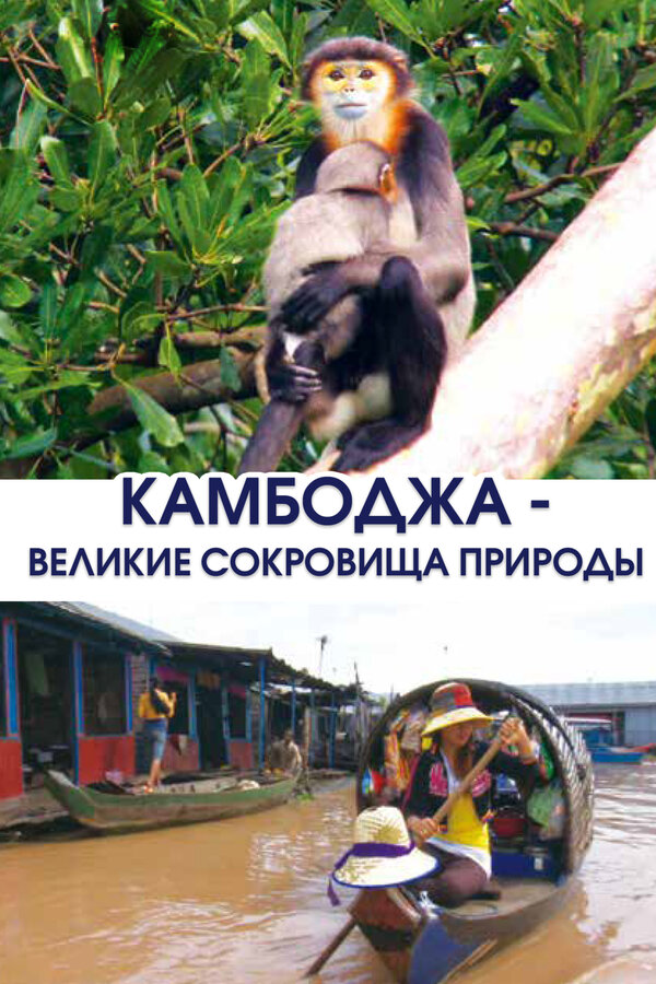Постер: Камбоджа — великие сокровища природы (2013)
