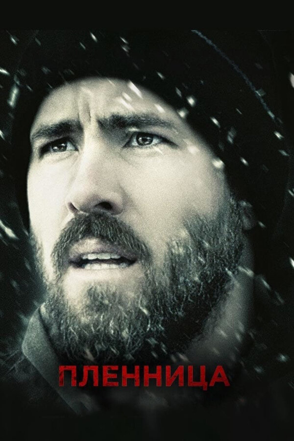 Постер: Пленница (2013)