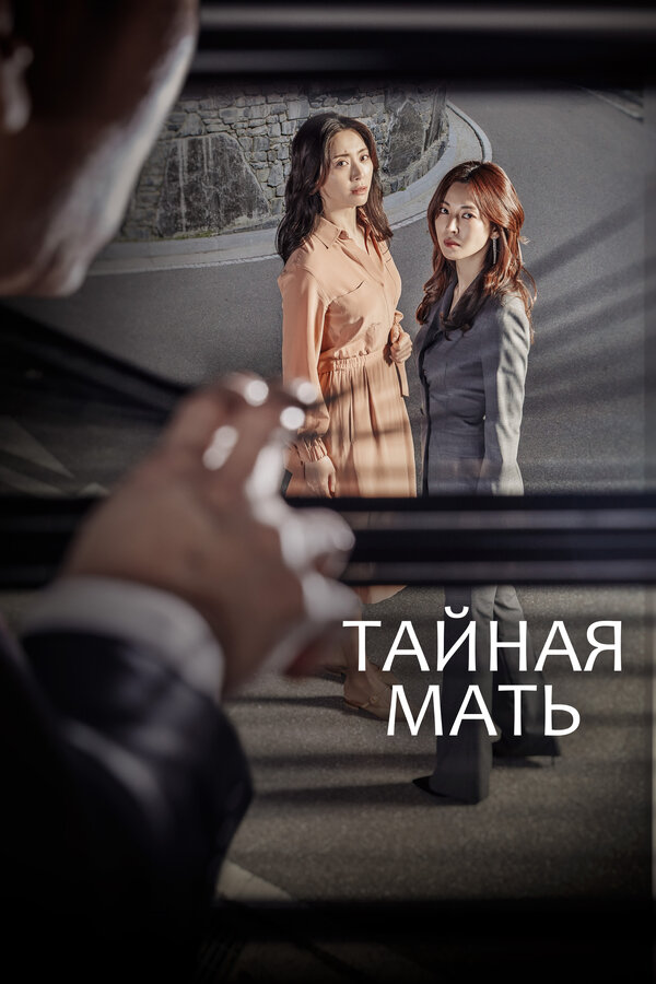 Постер: Тайная мать (2018)