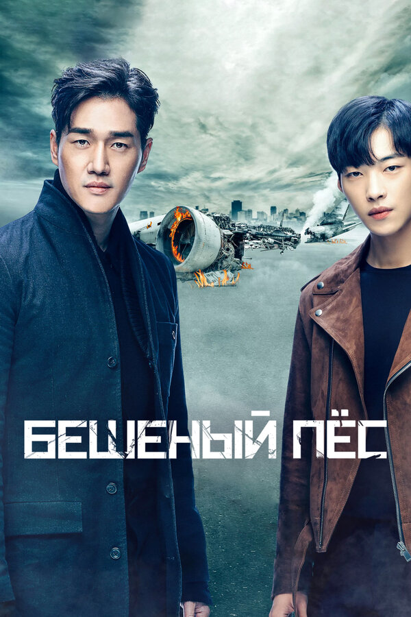 Постер: Бешеный пёс (2017)