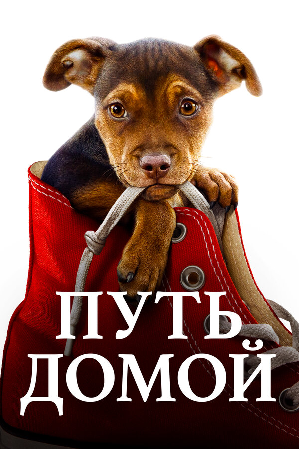 Постер: Путь домой (2019)