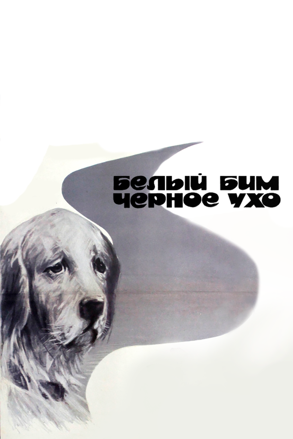 Постер: Белый Бим Черное ухо (1976)