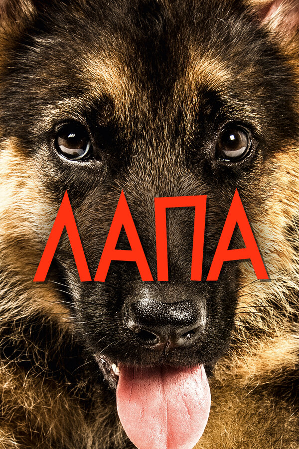 Постер: Лапа (2015)